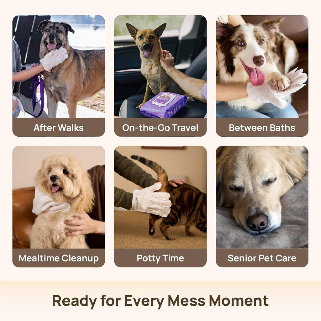 HICC PET Deodorizing Grooming Glove Wipes